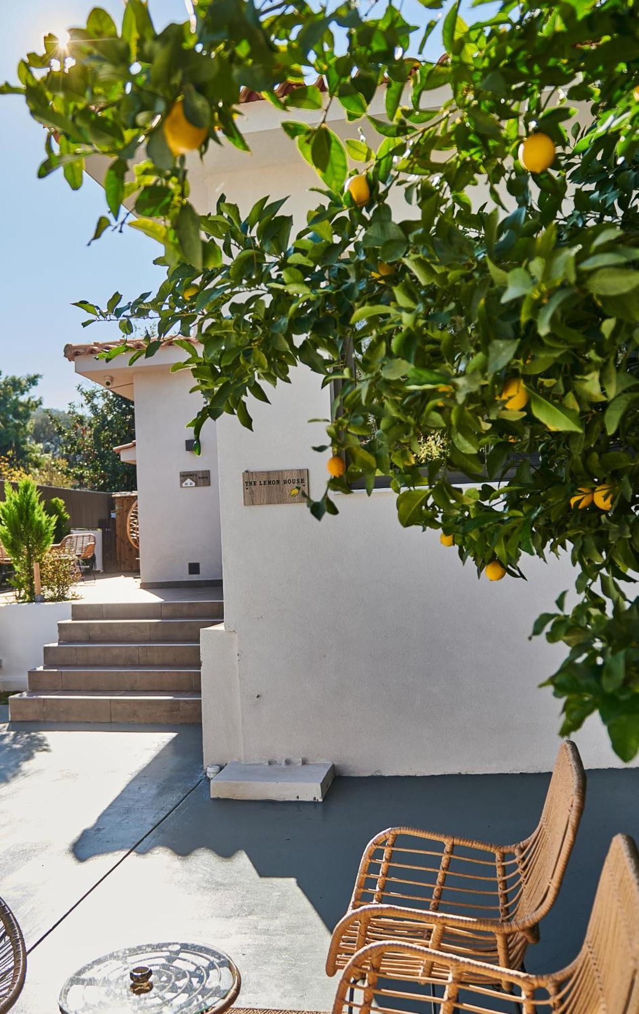 The Lemon House Apartment อาร์เตมีดา ภายนอก รูปภาพ