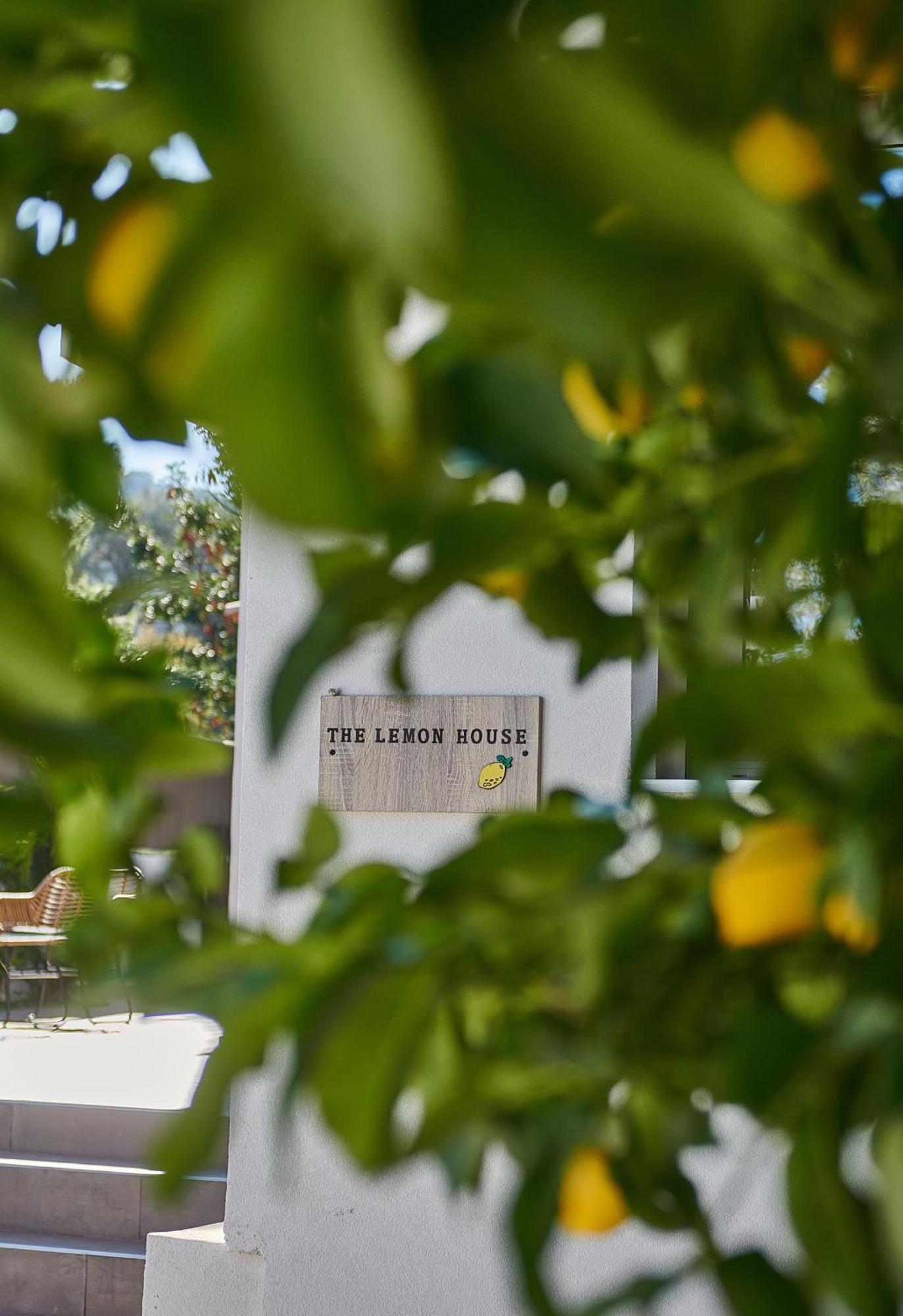 The Lemon House Apartment อาร์เตมีดา ภายนอก รูปภาพ